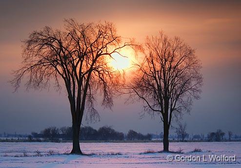 Sun Between Two Trees_13537-8.jpg - Photographed at Ottawa, Ontario - the capital of Canada.